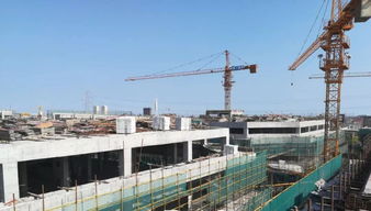 中國電工電器城八月工程進度播報 穩步推進，共建產業新高地